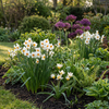 Blumenzwiebel-Set „Trockengarten" – Sommerblüher-Mischung – Ansicht 2