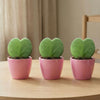 Geschenk-Set „Sweetheart“ – Mini-Grünpflanze mit Topf