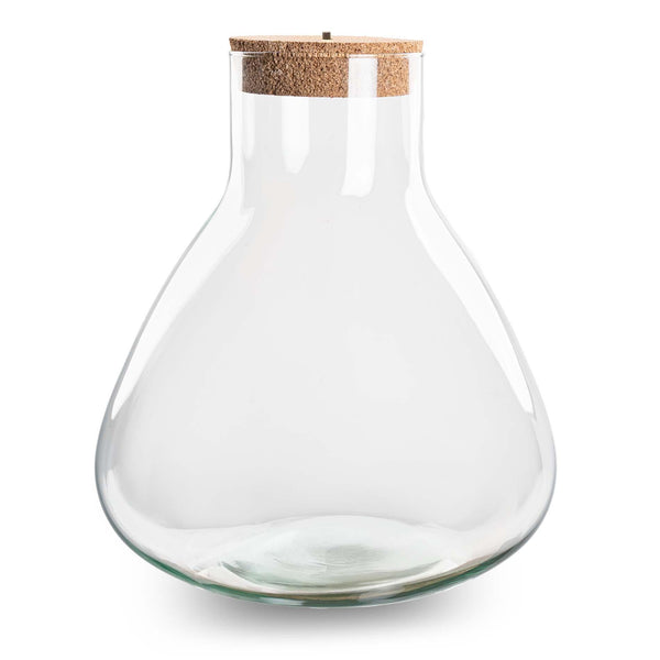 Flaschengarten-Set „Sam XL" – Terrarium mit LED-Korken