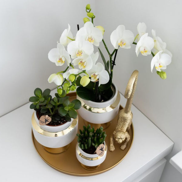Rundes Dekotablett Gold – Ansicht 6
