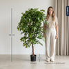 Kunstpflanze Ficus Deluxe Vine – Ansicht 6