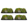 Bodendecker-Set „Sedummatte“ – 10 Sedum-Sorten – Ansicht 2