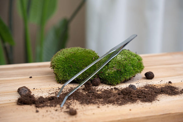 Terrarium-Pinzette aus Metall