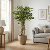 Kunstbaum Ficus Liana – Ansicht 7