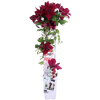 Waldrebe ‚Nubia' – Clematis – Ansicht 3