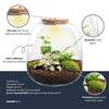 Terrarium-Set „Emma“ – DIY-Kit mit Efeu