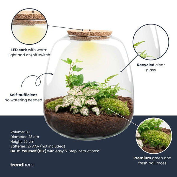 Terrarium-Set „Emma“ – DIY-Kit mit Efeu