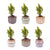 Mini-Weihnachtsbaum-Set mit Topfset Barcelona