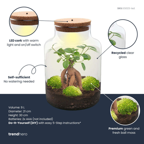 Flaschengarten-Set „Milky" – DIY-Terrarium mit Bonsai und Beleuchtung – Ansicht 3