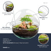 Flaschengarten-Set „Dome" – DIY-Terrarium im Kugelglas – Ansicht 2