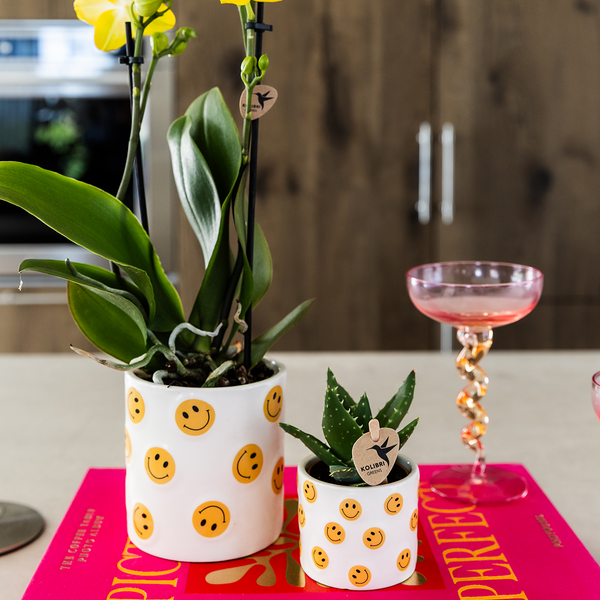 Übertopf Smiley – Ansicht 8