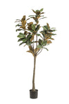 Kunstpflanze - Magnolia Grandiflora- 150 cm