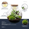 Flaschengarten-Set „Bolder Bob" – DIY-Terrarium mit Beleuchtung – Ansicht 3