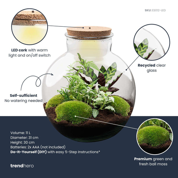 Flaschengarten-Set „Bolder Bob" – DIY-Terrarium mit Beleuchtung – Ansicht 3