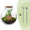 Flaschengarten-Set „Bolder Bob" – Bonsai im Glas