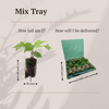 Überraschungs-Set „Mix Tray – Ansicht 7