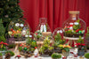 Weihnachts-Flaschengarten-Set „Frosty" – DIY-Terrarium mit Pflanzen