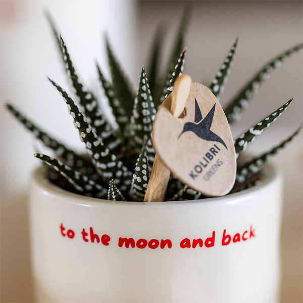 Ziertopf „To the Moon and Back“ – Ansicht 8
