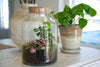 Flaschengarten-Set „Love Mom Little Milky“ – DIY-Terrarium mit graviertem Korken und Licht – Ansicht 6