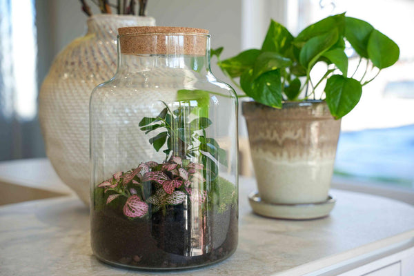 Flaschengarten-Set „Love Mom Little Milky“ – DIY-Terrarium mit graviertem Korken und Licht – Ansicht 6