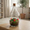 Flaschengarten-Set „Love in a Bottle“ – offenes DIY-Pflanzenterrarium