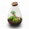 Flaschengarten-Set „Love Mom Drop XL“ – DIY-Terrarium mit graviertem Korken – Ansicht 2