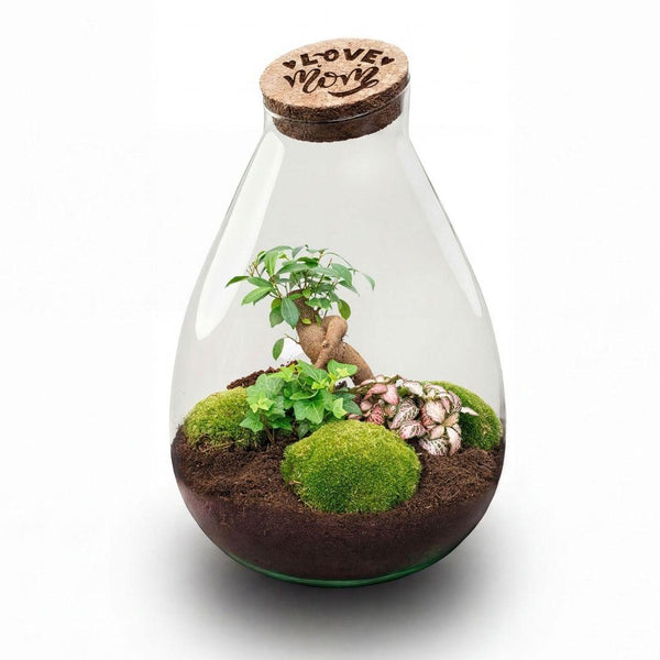 Flaschengarten-Set „Love Mom Drop XL“ – DIY-Terrarium mit graviertem Korken – Ansicht 2