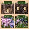 Spanisches Hasenglöckchen ‚Mix' – Hyacinthoides hispanica – Ansicht 4