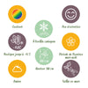 Stauden-Set „Schattenbeet" – 12 Schattenstauden in verschiedenen Arten und Farben – Ansicht 7