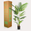 Kunstpflanze - Howea Forsteriana- 160 cm