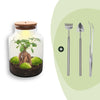 Flaschengarten-Set „Milky" – DIY-Terrarium mit Bonsai und Beleuchtung