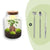 Flaschengarten-Set „Milky" – DIY-Terrarium mit Bonsai und Beleuchtung