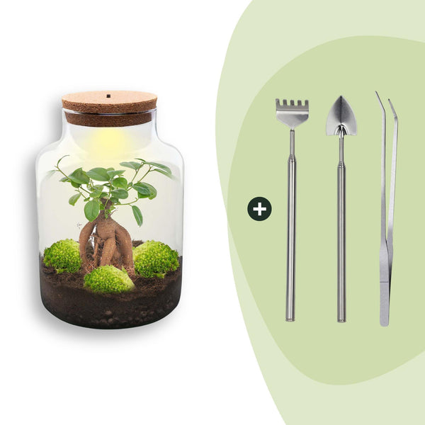 Flaschengarten-Set „Milky" – DIY-Terrarium mit Bonsai und Beleuchtung