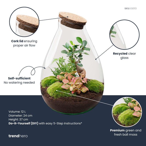 Flaschengarten-Set „Drop XL Bonsai" – DIY-Terrarium mit Bonsai – Ansicht 3