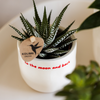 Ziertopf „To the Moon and Back“ – Ansicht 4