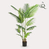 Kunstpflanze - Howea Forsteriana- 160 cm