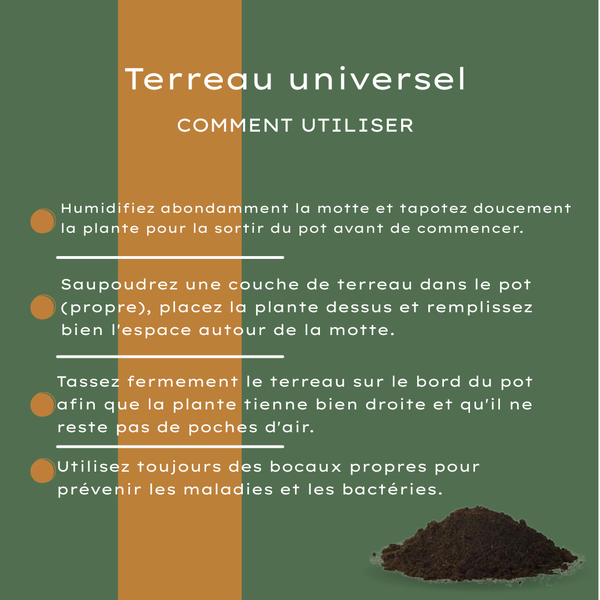 Universal-Blumenerde für Zimmer- und Gartenpflanzen – Ansicht 8