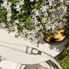 Glockenblume ‚Addenda Ambella' – Campanula – Ansicht 8