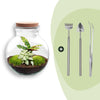 Flaschengarten-Set „Teddy" – DIY-Terrarium mit Licht