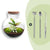Flaschengarten-Set „Teddy" – DIY-Terrarium mit Licht