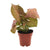 Purpurtute ‚Neon' – Syngonium podophyllum