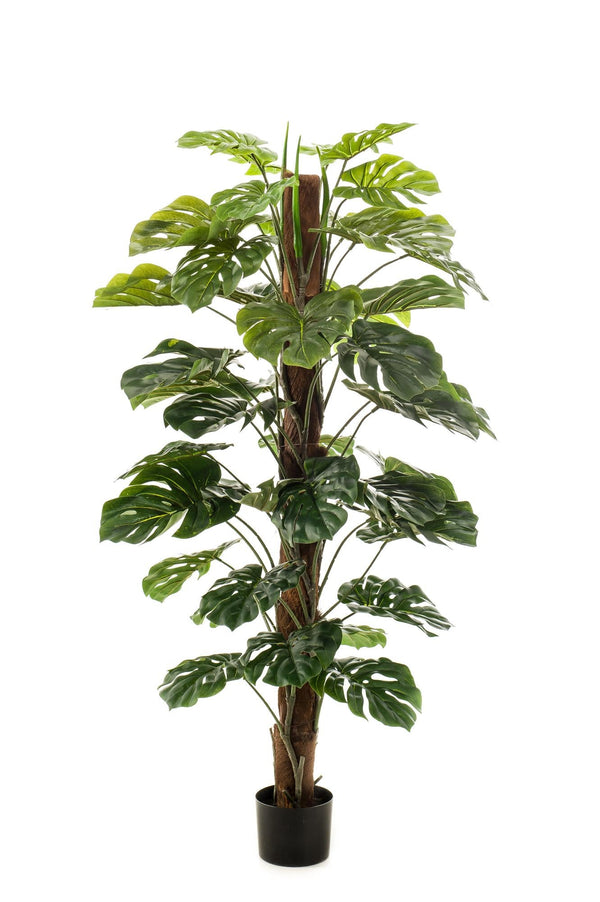 Kunstpflanze Monstera deliciosa