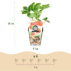 Erdbeere ‚Elsanta' – Fragaria × ananassa – Ansicht 3