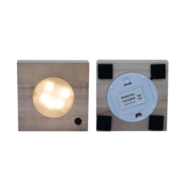 Calathea im Glas mit LED-Beleuchtung – Ansicht 4