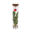 Geschenk-Set „Mix in Tube" – Pflanzen im Glas mit Herz-Schmuck