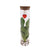 Geschenk-Set „Mix in Tube" – Pflanzen im Glas mit Herz-Schmuck