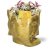 Dreimasterblume ‚Sweetness' – Tradescantia – Übertopf Elefant gold
