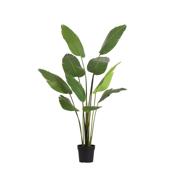 Kunstpflanze Baumstrelitzie (Strelitzia nicolai)