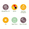 Beerenobst-Set „Tricolour" – Rote Johannisbeere, Gelbe Himbeere, Schwarze Brombeere – Ansicht 8