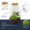 Flaschengarten-Set „Botanical Sven XL“ – DIY-Terrarium mit Licht – Ansicht 3